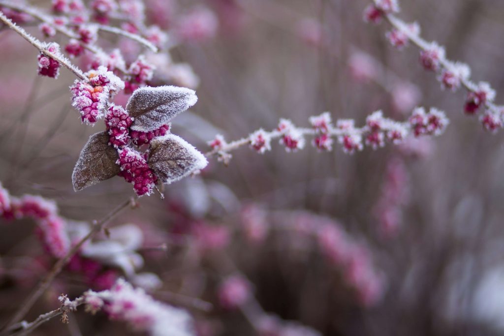 invierno