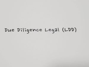 legal Due Diligence